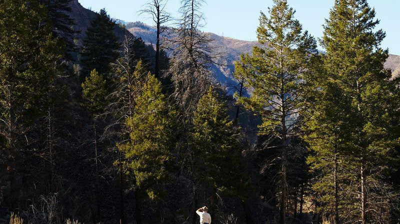 Adventures with Best Made Co.