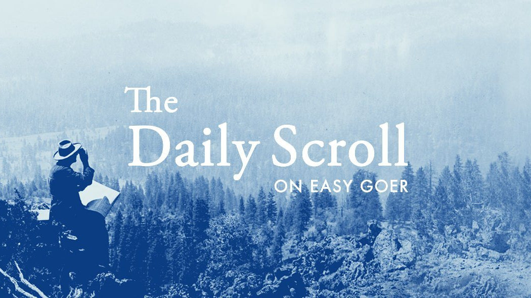Daily Scroll