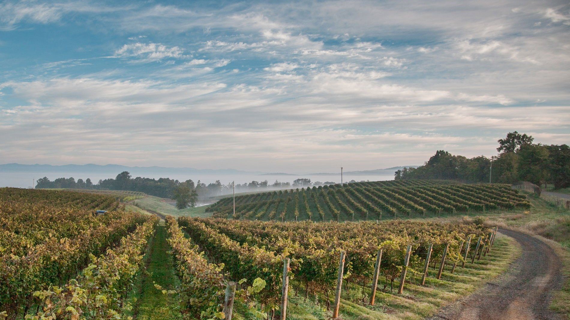 A Guide to Charlottesville