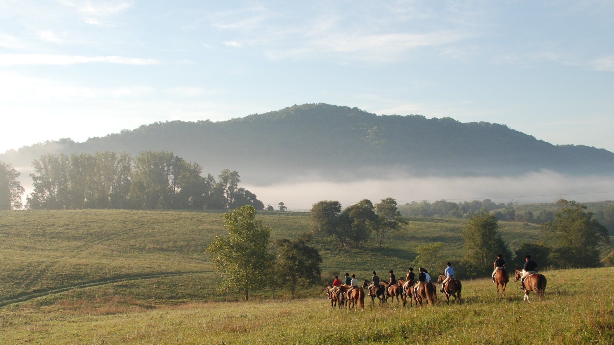 The Thrill of the Chase