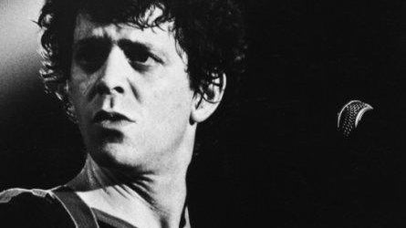 A Walk on the Wild Side