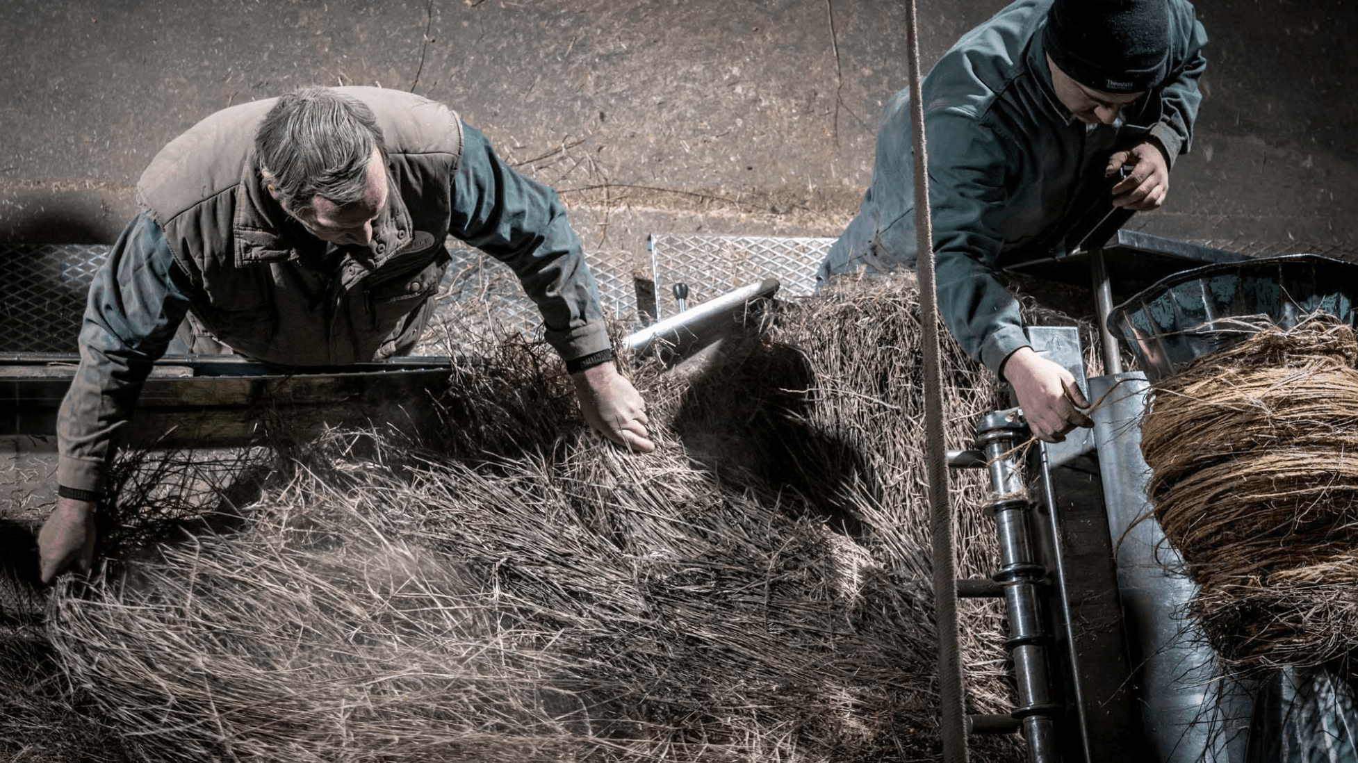 Linen: A Closer Look