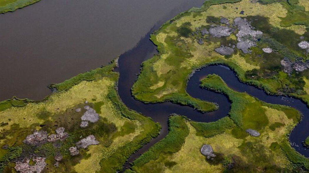 Conservation From Above