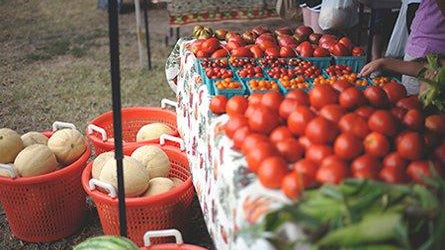 How To: Infusing Spirits