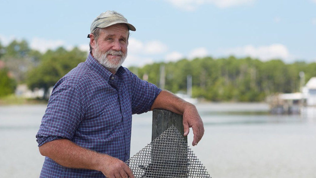 Virginia Oysters on the Rise