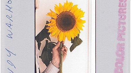 Lost Then Found: Unseen Andy