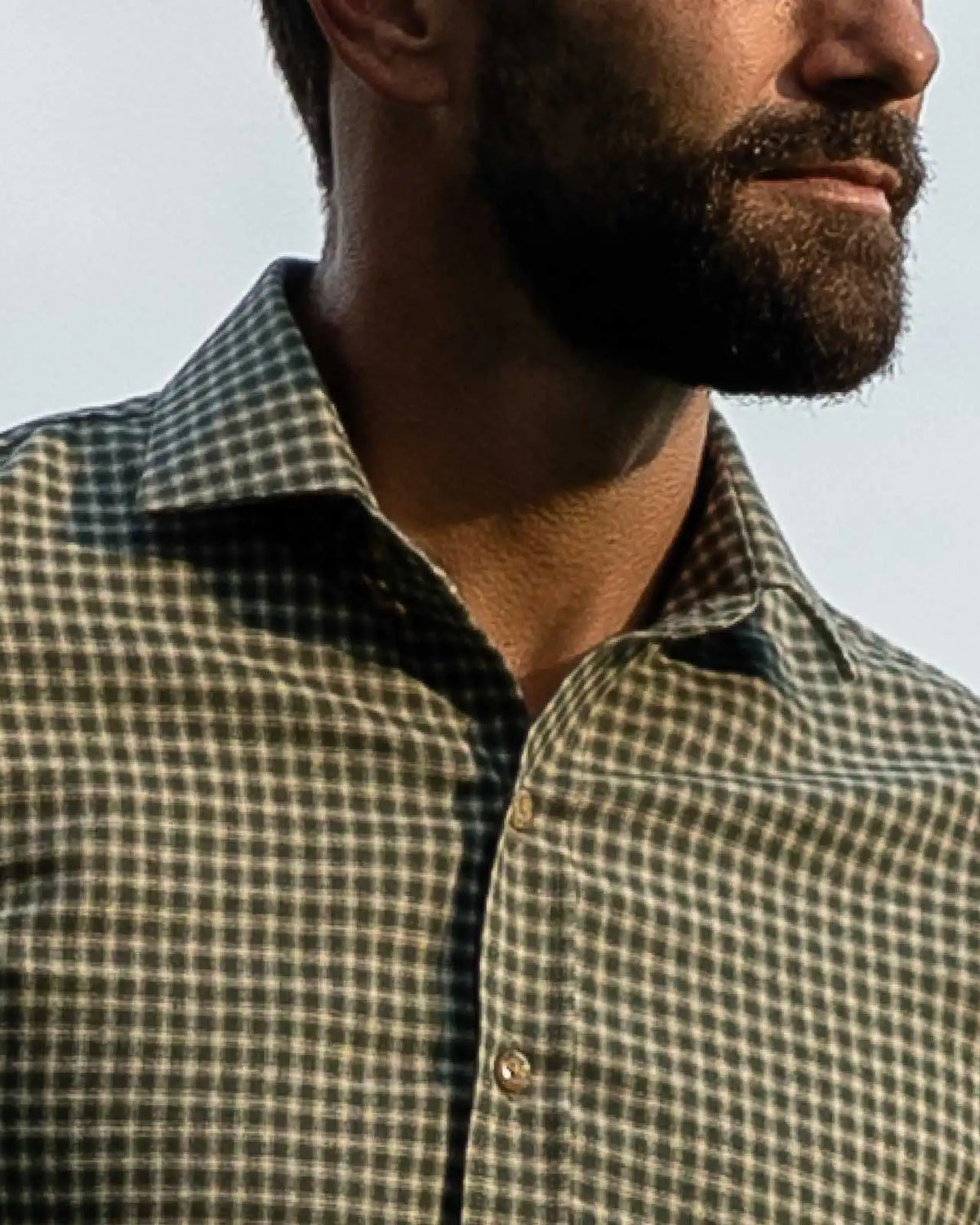 Close-up of a man wearing a green and beige gingham check button-down shirt, with a beard and looking off-camera against a pale sky.