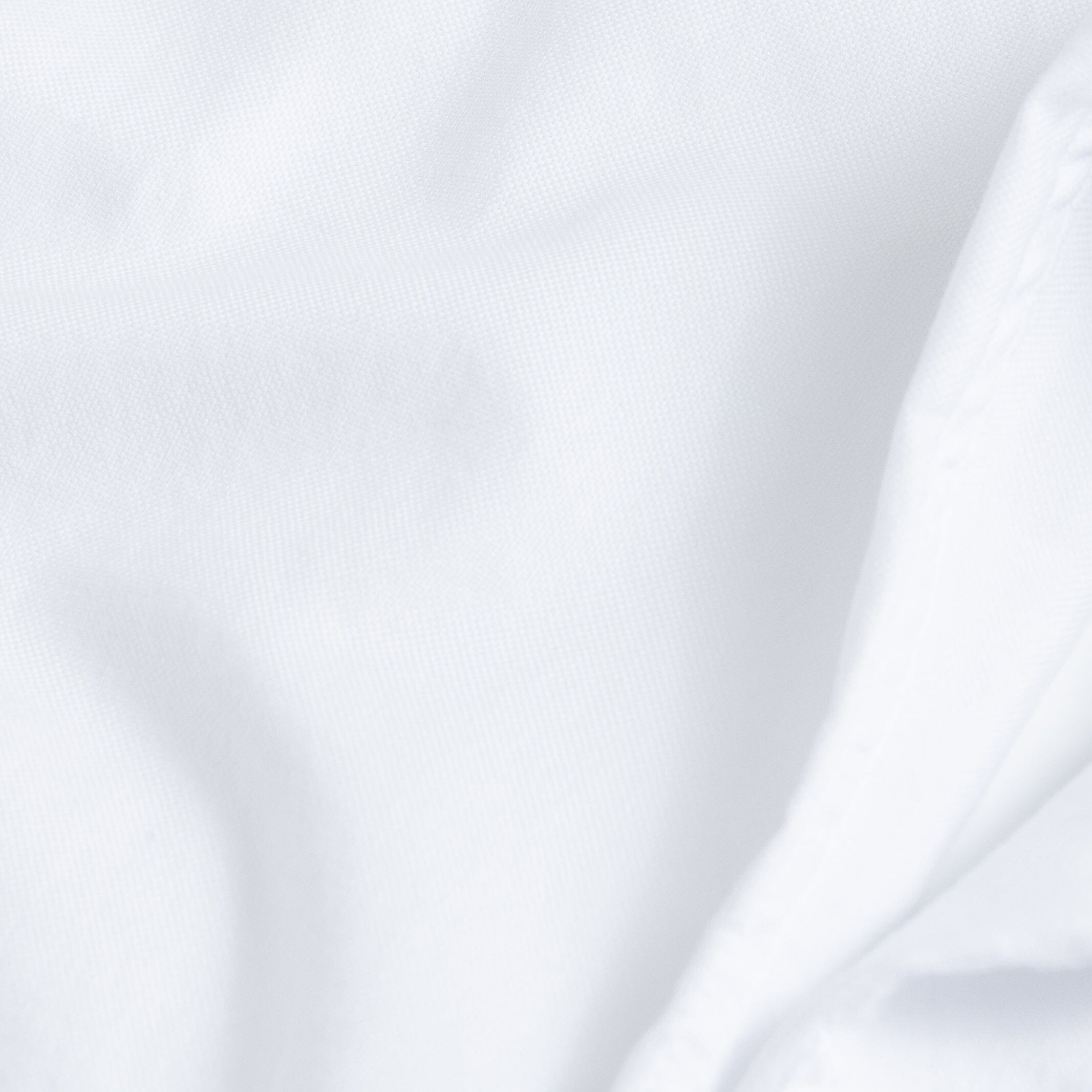 The White Asbury Oxford Soft Shirt with Blue Buttons Dress Shirt- Ledbury