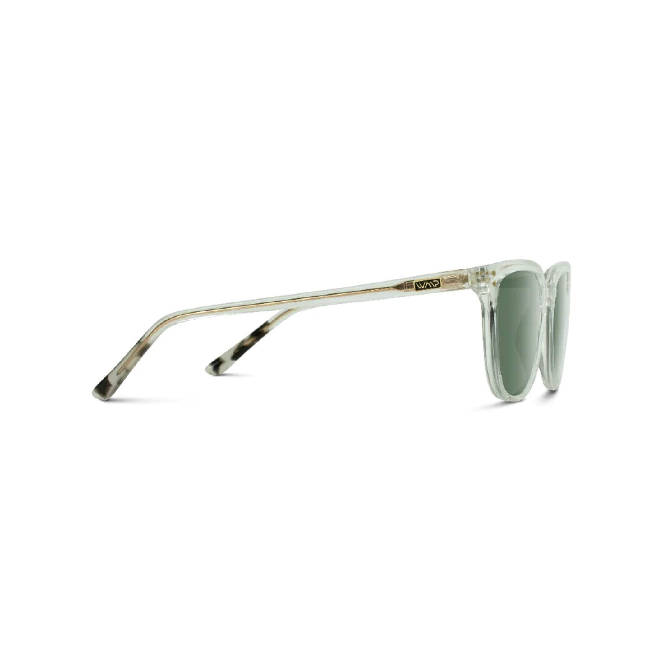 WMP Glossy Clear Abner Square Sunglasses Sunglasses- Ledbury