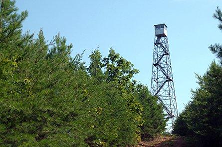 All Along The Fire Tower