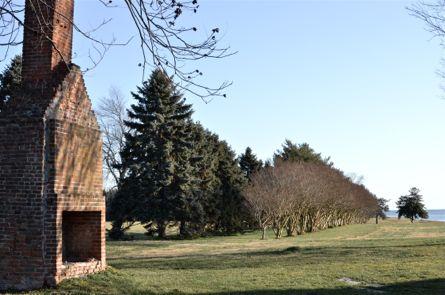 Strategies and shotguns