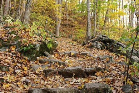 Virginia Day Hikes
