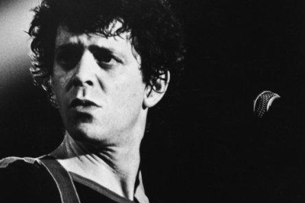 A Walk on the Wild Side