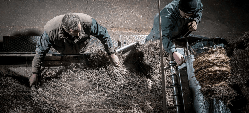 Linen: A Closer Look