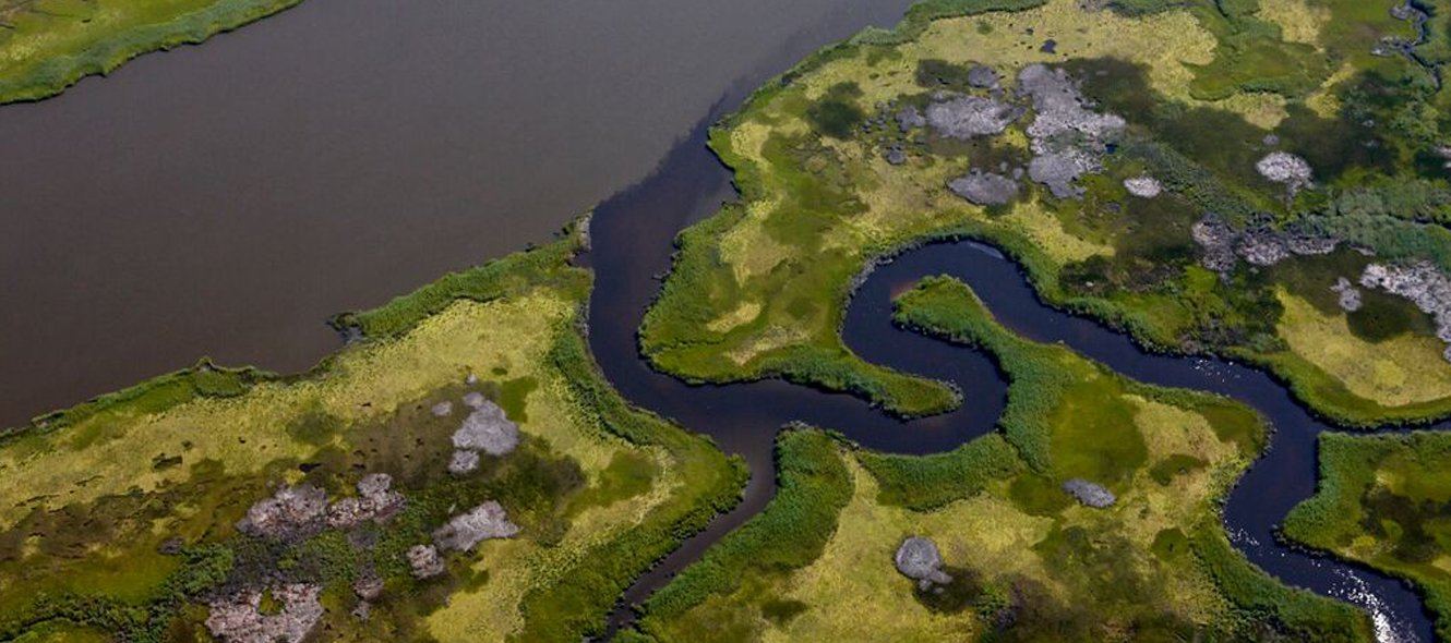 Conservation From Above