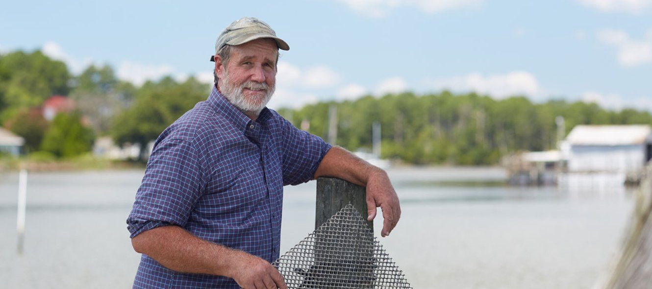 Virginia Oysters on the Rise