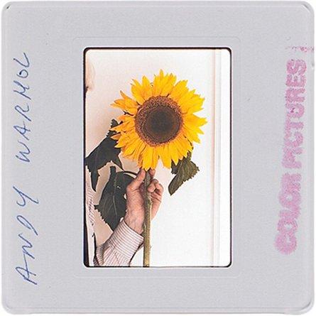 Lost Then Found: Unseen Andy